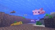 Axolotls previously could be found in more locations but now spawn in one dedicated biome (Image via Mojang)